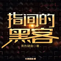 《指间的黑客》有声小说-作者黑色键盘-主播红薯番茄-悦听吧免费听书平台