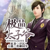 《极品太子爷》有声小说-作者浮沉-主播晋麟同学-悦听吧免费听书平台